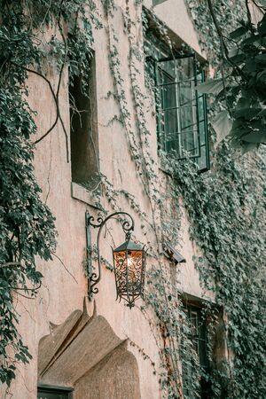 Title: Ivy on the wall of the house. Autumn leaves ivy on the vintage windows. Red, yellow and green leaves.の写真素材