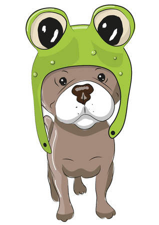 Cute Cartoon Dog in a froggy hat on a white backgroundのイラスト素材