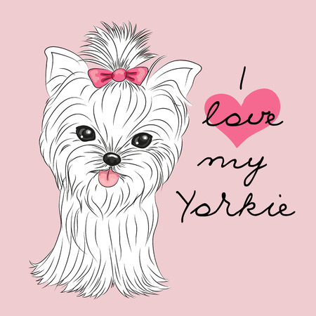 Cute Yorkshire Terrier on a pink backgroundのイラスト素材