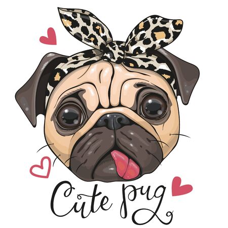 Head of Cartoon Pug Dog in a leopard scarf isolated on a white backgroundのイラスト素材