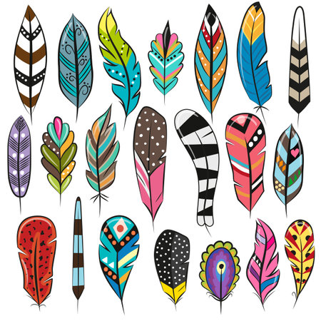 A Set of Cute Cartoon Colored Feathers isolated on a white backgroundのイラスト素材