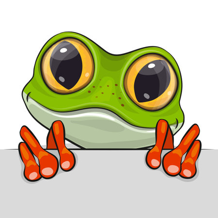 Cute Cartoon Frog isolated on a white backgroundのイラスト素材