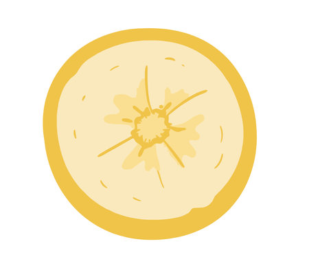 Banana slice clipart. A detailed clipart illustration of a banana slice, showing its yellow peel and inner texture, ideal for food graphics.の写真素材