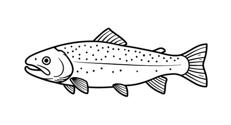 Trout clip art black and white. A simple and elegant black and white line art illustration of a trout, a popular game fish known for its fighting spirit and delicious taste.の写真素材