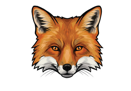 Fox face clip art. Detailed portrait of a fox head with intense gaze. Vector illustration design.のイラスト素材