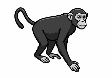 Black monkey clipart. A black monkey with a long tail and detailed fur is shown in a walking pose. Vector illustration design.のイラスト素材