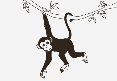 Monkey hanging clip art. A monkey is hanging from a tree branch with one hand. Vector illustration design.のイラスト素材