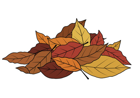 Dry leaves pile clipart. A colorful pile of dry leaves in shades of brown, orange, red, and yellow. Vector illustration design.のイラスト素材