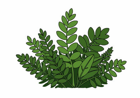 Foliage clipart. Green leaves and plants in a lush, vibrant arrangement. Vector illustration design.のイラスト素材