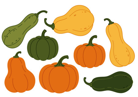 Pumpkins and gourds clipart. Various colorful pumpkins and gourds in orange, green, and yellow. Vector illustration design.のイラスト素材