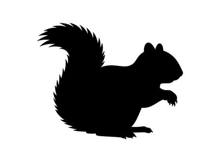 Clipart squirrel silhouette. Black silhouette of a squirrel with a bushy tail and paws. Vector illustration design.のイラスト素材