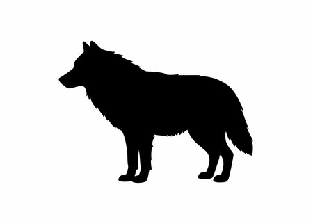 Wolf silhouette. This image shows a black silhouette of a wolf standing in a side profile. Vector...