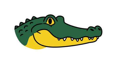 Alligator face clipart. This image shows a cartoon-style alligator head with a green upper part and a yellow lower part, featuring a friendly expression. Vector illustration design.のイラスト素材