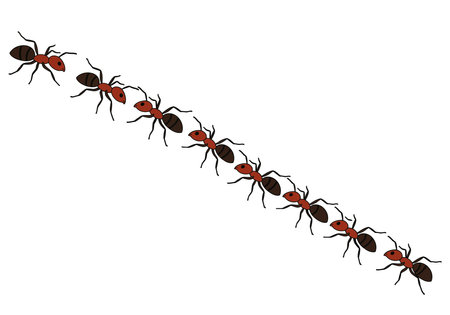 Ants marching clipart. This image shows a line of red and black ants marching in a diagonal line. Vector illustration design.のイラスト素材