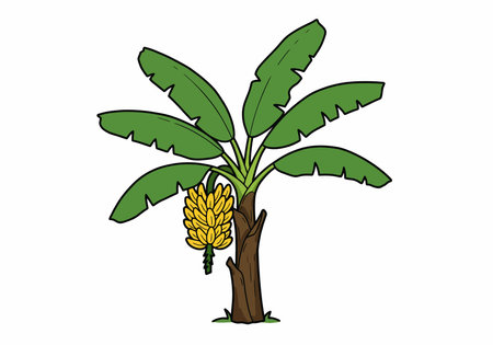 Banana tree clip art. Green leaves and yellow fruit bunch. Vector illustration design.のイラスト素材