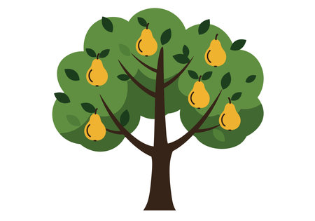 Clipart pear tree. This image shows a pear tree with green leaves and yellow pears. Vector illustration design.のイラスト素材