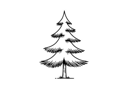 Pine tree line art. This image shows a stylized black and white line art illustration of a pine tree with distinct branches and needles. Vector illustration design.のイラスト素材
