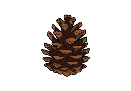 Clip art pine cone. This image shows a detailed illustration of a brown pine cone with layered...