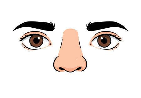 Clip art eyes nose. This image shows a simple and minimalistic representation of eyes and a nose. Vector illustration design.のイラスト素材