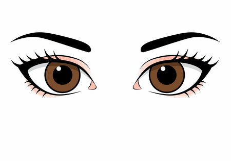 Brown eyes clipart. This image shows a pair of brown eyes with black eyebrows and eyelashes. Vector illustration design.のイラスト素材