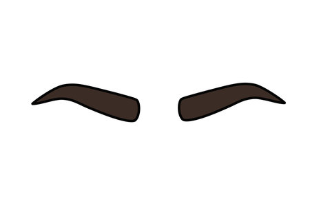 Eye brows clip art. This image shows a pair of stylized, dark brown eyebrows with a slight arch. Vector illustration design.のイラスト素材