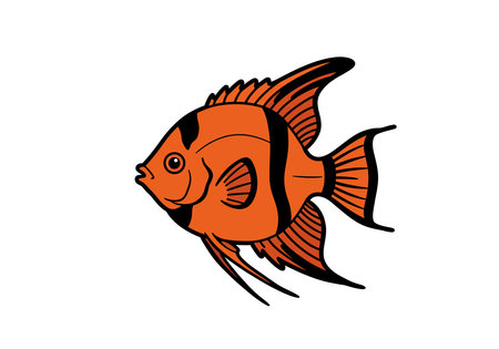 Angler fish clip art. This image shows an orange and black angler fish with detailed fins and stripes. Vector illustration design.のイラスト素材