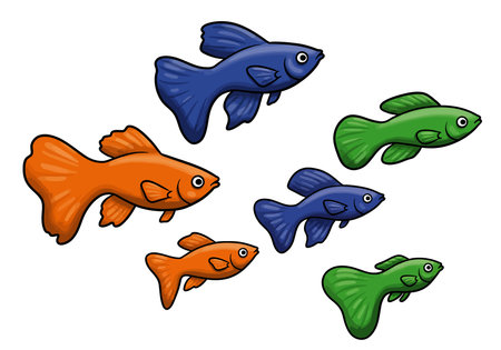 Guppies fishs clipart. This image shows six colorful guppy fish in blue, green, and orange. Vector illustration design.のイラスト素材
