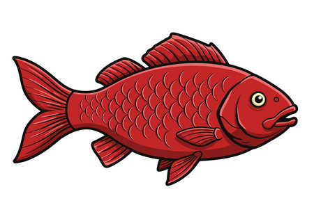 Red fish clip art. A vibrant red fish with detailed scales and fins. Vector illustration design.のイラスト素材