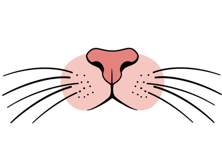 Cat Nose Clipart. Pink cat nose with black outline, whiskers, and dots on cheeks. Vector illustration design.のイラスト素材