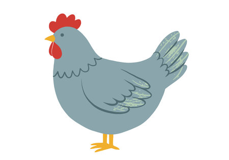 Clip art hen. A grey hen with red comb and wattle, yellow beak and feet. Vector illustration design.のイラスト素材
