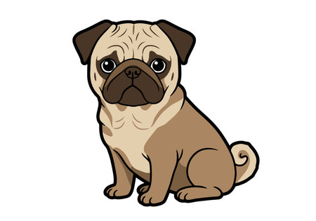 Clip art pug dog. This image shows a cartoon-style pug sitting and looking forward. Vector illustration design.のイラスト素材