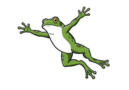 Clipart Frog Jumping. Green frog with white belly and spots, leaping with outstretched limbs. Vector illustration design.のイラスト素材