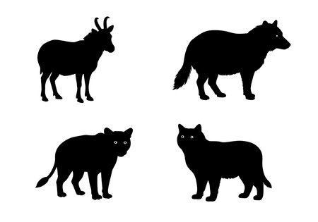 Animal clipart silhouette. This image shows black silhouettes of a goat, wolf, lion, and cat on a white background. Vector illustration design.のイラスト素材