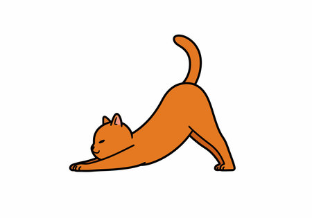 Cat yoga clipart. This image shows an orange cat stretching forward with its tail raised high. Vector illustration design.のイラスト素材