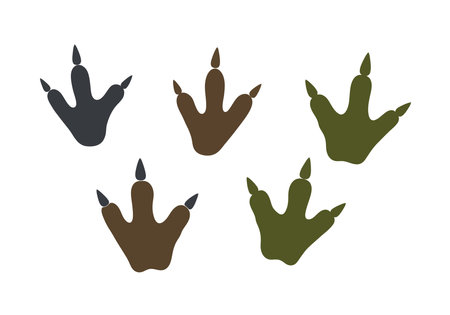 Dinosaur footprints clip art. This image shows five dinosaur footprints in black, brown, and green colors with a three-toed design. Vector illustration design.のイラスト素材