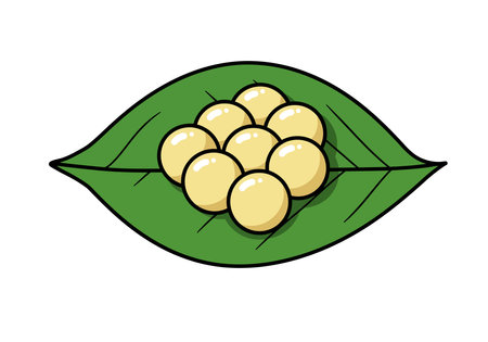 Butterfly egg clipart. This image shows a green leaf with eight yellow spherical eggs arranged in a cluster. Vector illustration design.のイラスト素材
