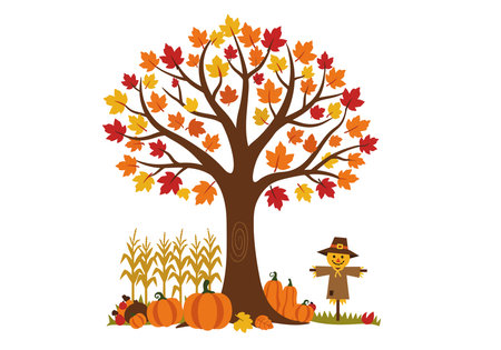 1st day of fall clipart. This image shows a tree with colorful autumn leaves, pumpkins, corn stalks, and a scarecrow. Vector illustration design.のイラスト素材