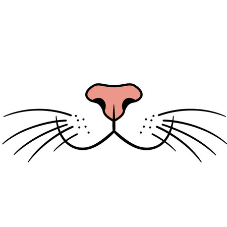 Cat nose and whiskers clipart. This image shows a simple and clean illustration of a cat's nose and whiskers in a cartoon style. Vector illustration design.のイラスト素材