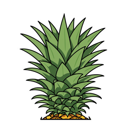 Pineapple top clip art. Green spiky leaves arranged in a dense and detailed pattern. Vector illustration design.のイラスト素材