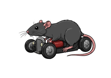 Rat rod clipart. A rat is riding a small, vintage-style car. Vector illustration design.のイラスト素材