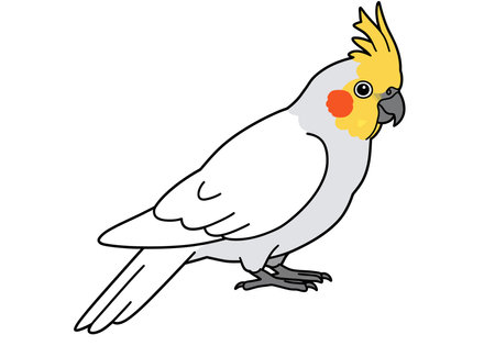 Clipart cockatoo. Cockatoo with yellow crest, orange cheeks, grey and white feathers, showcasing elegance and vibrant details. Vector illustration design.のイラスト素材