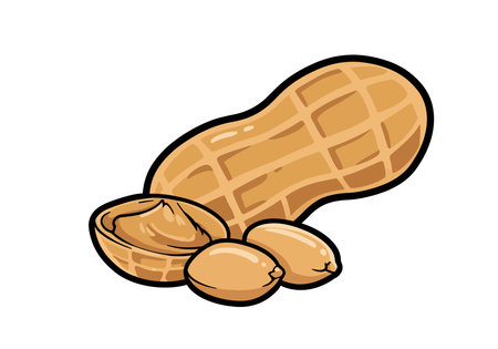Clip art peanut. This image shows a peanut in its shell, two shelled peanuts, and peanut butter. Vector illustration design.のイラスト素材