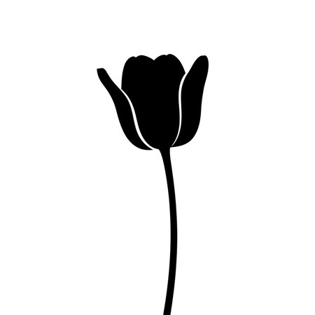 Silhouette tulip. This image portrays a black silhouette of a tulip flower with a long stem and elegant petals. Vector illustration black clipart design.のイラスト素材