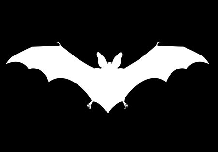 White bat silhouette. A white bat is illustrated with outstretched wings and visible features on a contrasting black background. Vector illustration black clipart design.のイラスト素材