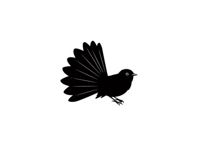 Fantail silhouette. This image depicts a bird in flight with spread wings and detailed feathers, showcasing elegance and grace. Vector clipart black illustration design.のイラスト素材