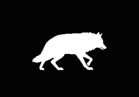 White wolf silhouette. Majestic predator showcasing wild motion in a walking stance with a lowered...