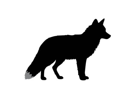 Fox silhouette. This image shows a black silhouette of a fox with a bushy tail, sharp ears, and...