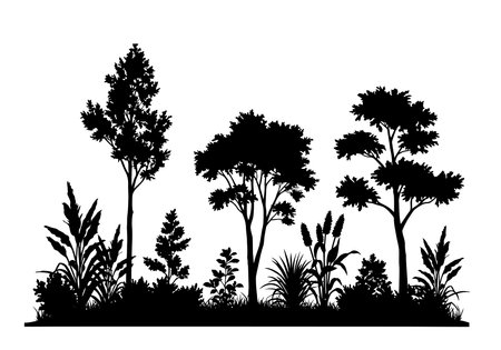 Foliage silhouette. This image shows a black silhouette of various trees and plants against a white background, depicting a natural forest scene. Vector clipart illustration design.のイラスト素材