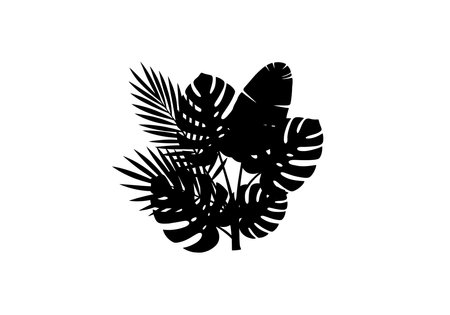 Tropical leaf silhouette. This image shows a black silhouette of various tropical leaves, including monstera and palm leaves. Vector clipart illustration design.のイラスト素材