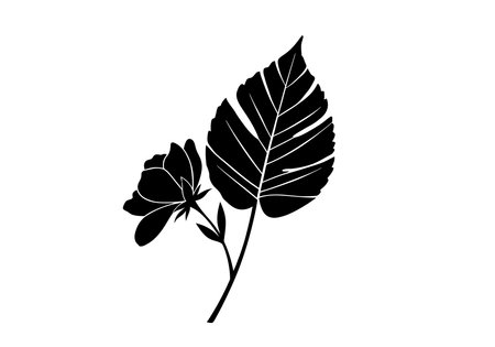 Flower leaf silhouette. This image shows a vector clipart illustration design of a flower and leaf silhouette, featuring a detailed black outline with intricate shapes. Vector clipart illustration design.のイラスト素材
